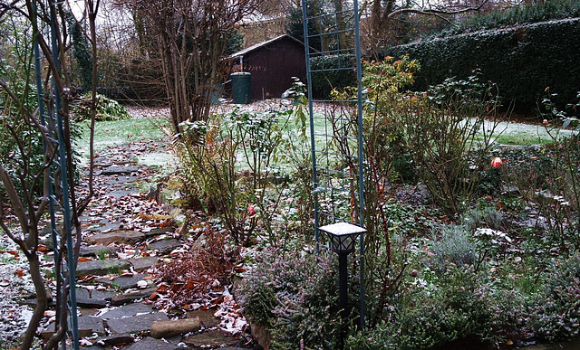 Jardin d'hiver