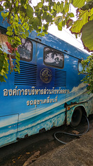 Bus bleu avec lettrage à décoder / Blue and decorated bus