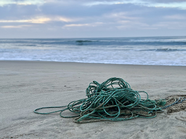 Beach blue ? rope