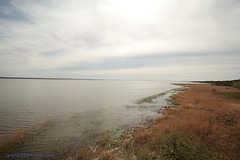Słowiński Park Narodowy (60) Słowiński Park Narodowy (60)