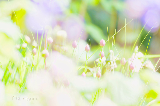 A Touch of Spring