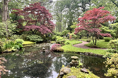 Clingendael 2024 – Japanese Garden