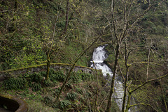 Columbia Gorge - Shepperd's Dell falls (#0227)