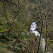 Columbia Gorge - Shepperd's Dell falls (#0227)