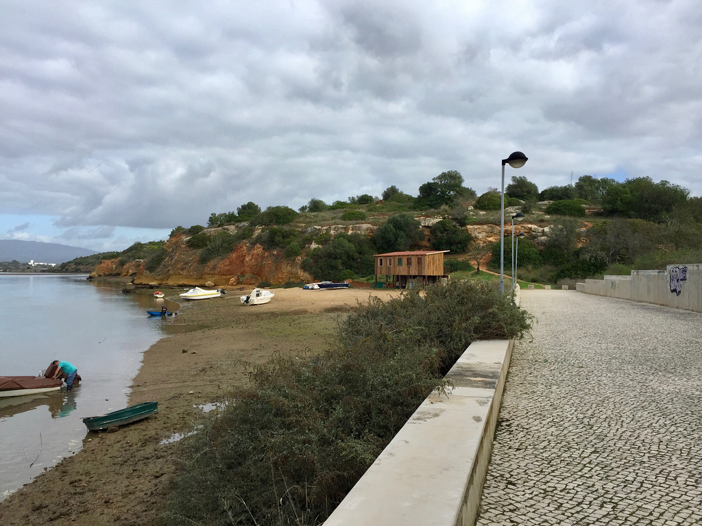 Alvor estuary (2015)