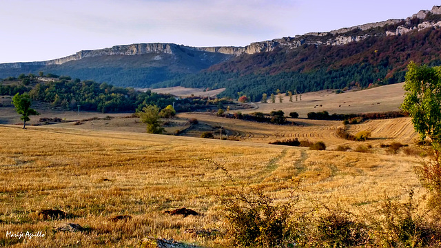 Campos de cereal (Valderejo)