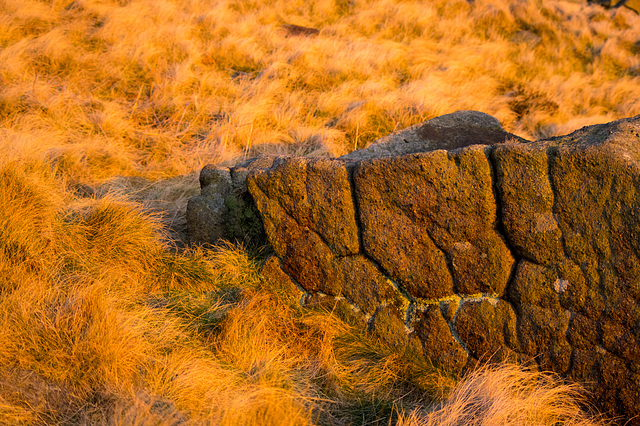 Millstone Grit sandstone on Shelf Benches on the West side of Bleaklow in the UK Peak District National Park