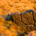 Millstone Grit sandstone on Shelf Benches on the West side of Bleaklow in the UK Peak District National Park