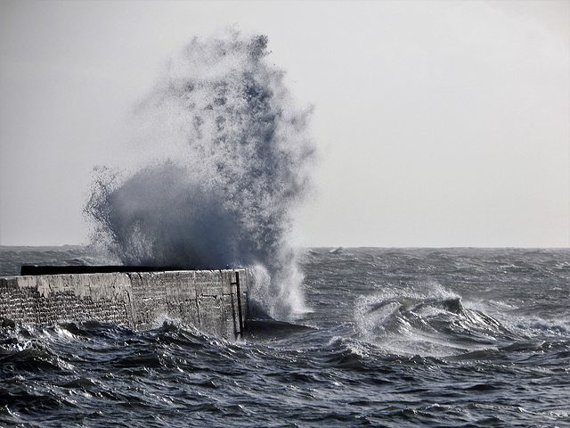 la mer a toujours quelque chose à dire