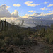 Hiking in the Ajo Mountains