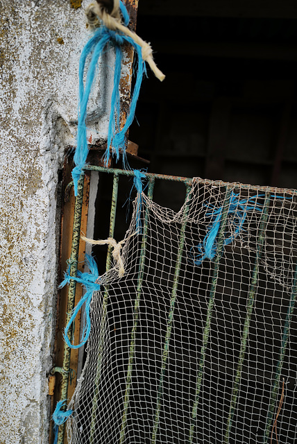 Penedos, Blue rope, HFF Penedos, Blue rope, HFF