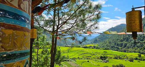 Over the Rice Fields