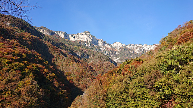 Blick von Tramin auf die Roen