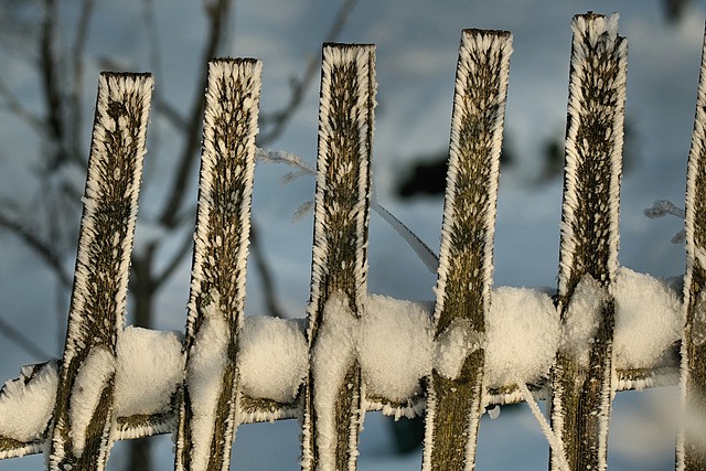 Hoar Frost Fence