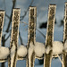 Hoar Frost Fence