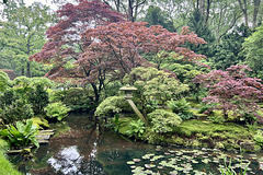 Clingendael 2024 – Japanese Garden