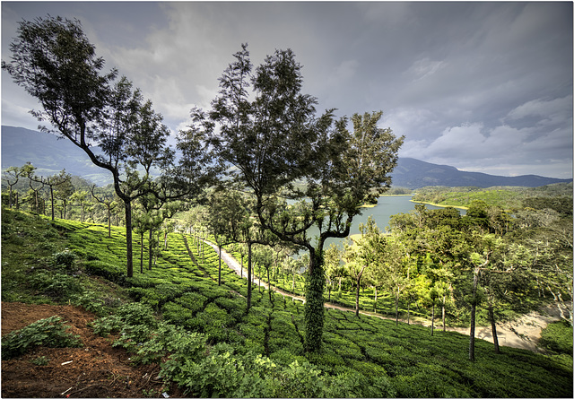 Periyar, India