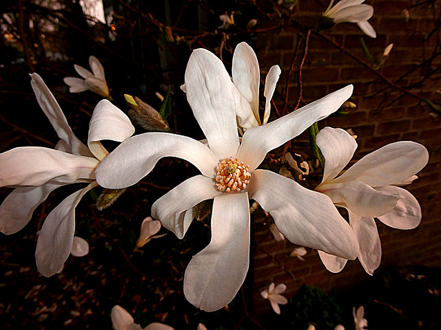 P1024693
