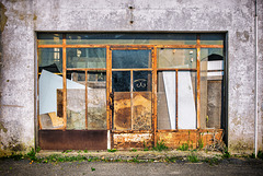DSC 9956