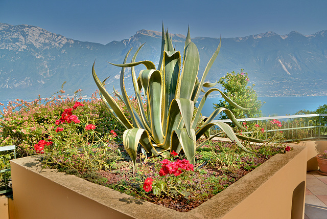 Limone sul Garda