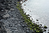 Azores, The Island of Pico, The Beach on the Volcanic Stones