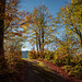 Farbiger Herbstweg ++ colored autumn way