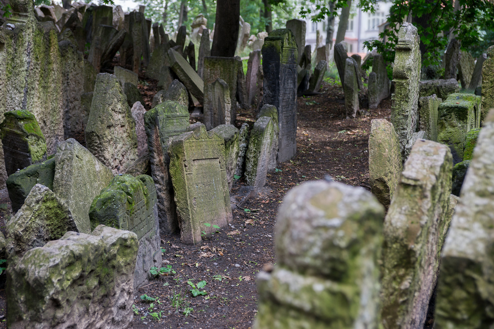 Alter Jüdischer Friedhof (Prag)