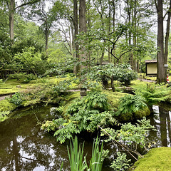 Clingendael 2024 – Japanese Garden