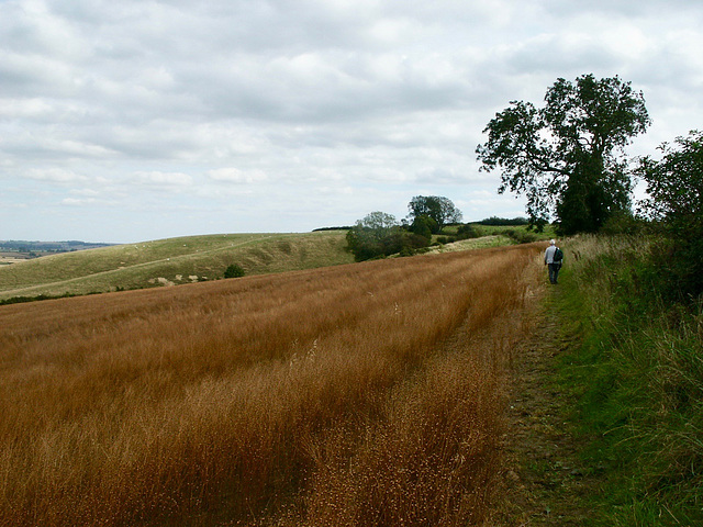 Climb up to the Mound Trig point at Langton Caudle (147m)