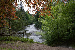 The Findhorn at Relugas