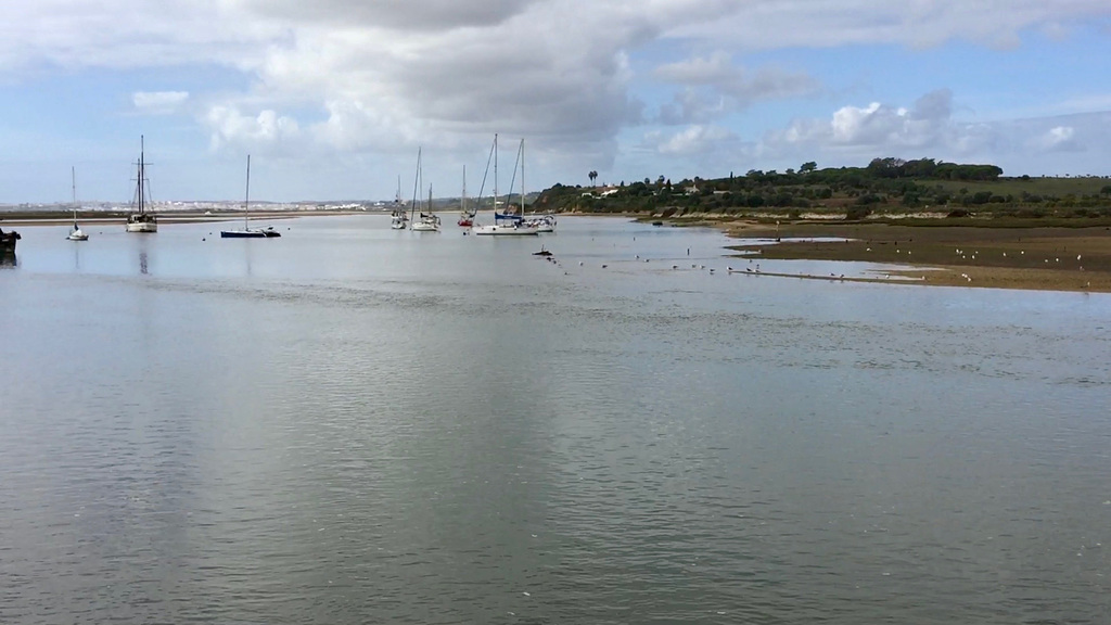 Alvor estuary (2015)