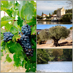Beautiful Languedoc