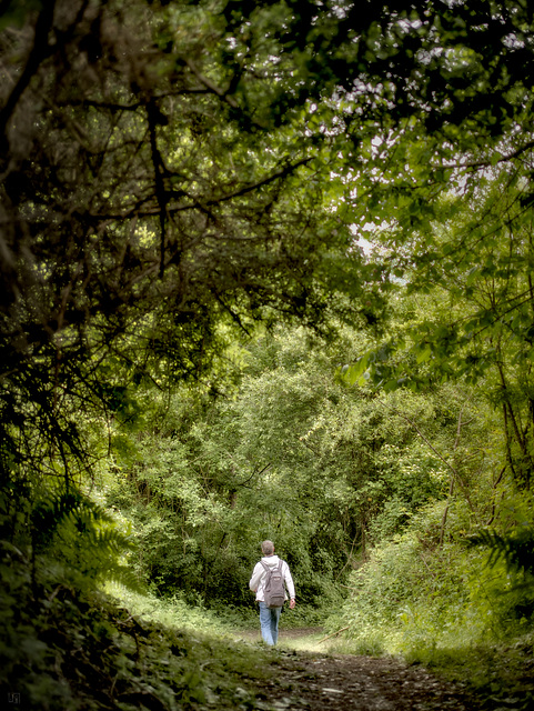 [mécanique des sons] walk'in the green