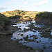 Ebb-tide on Ria Formosa.