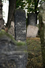 Alter Jüdischer Friedhof (Prag)