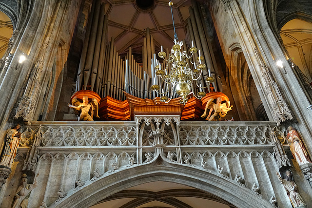 Organ pipes