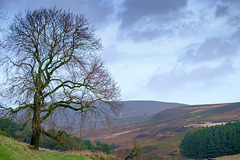 View to Tintwistle Moor