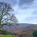 View to Tintwistle Moor