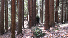 2017 4 14 Wanderung zum Rosenberg Srbská Kamenice Tschechische Republik