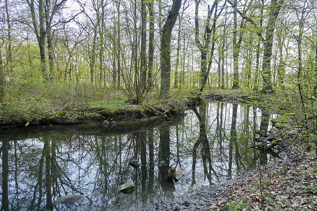 -weiher-06378-co-07-04-19