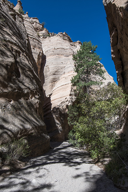 New Mexico slot canyon37