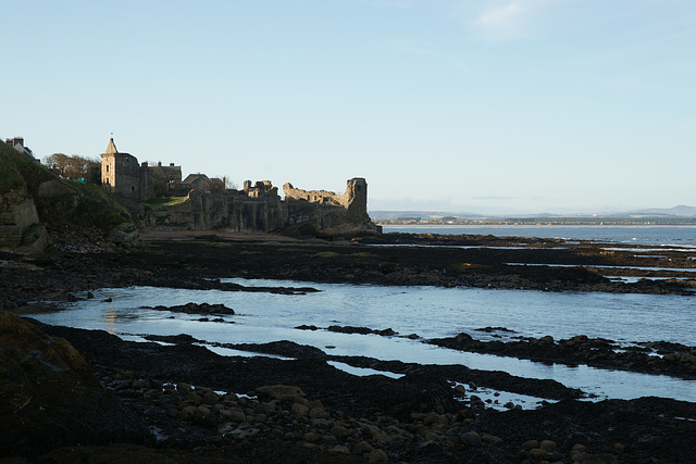 St. Andrews Shoreline