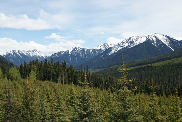 View From The Sea To Sky Highway