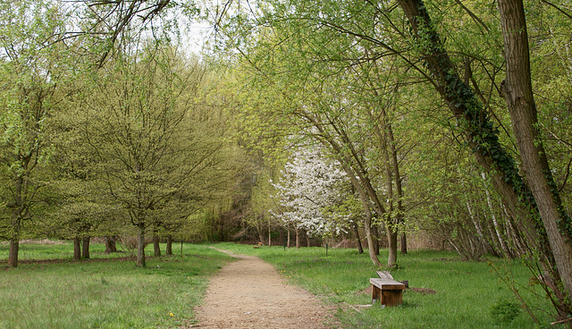 Frühling