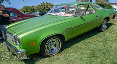 1976 Chevrolet Chevelle Malibu Coupe