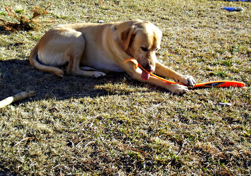 "Mmm...maybe I could eat this."