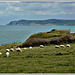 La côte d'Opale vers le Cap  gris nez