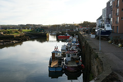 Fishing Boats In St. Andrews Harbour