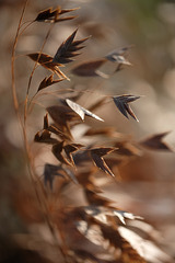 DSCF1495