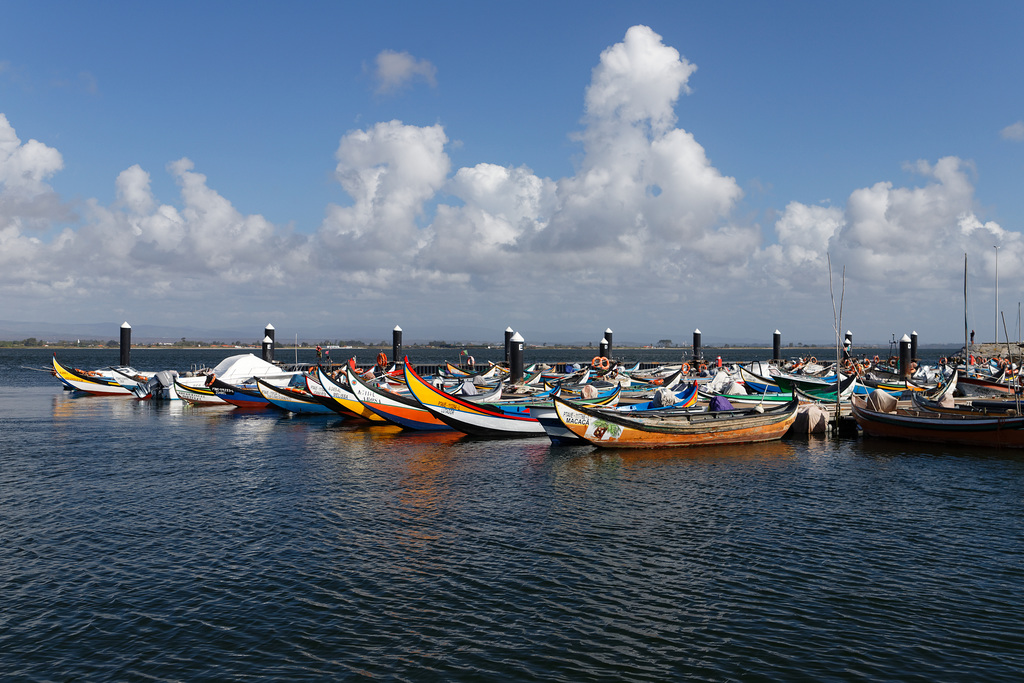 Ria de Aveiro, Portugal